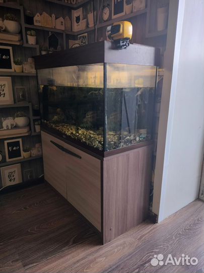 Аквариум