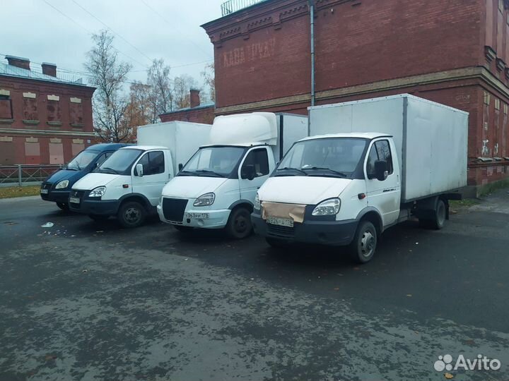 Грузоперевозки Петеогоф Ломоносов СПБ / грузчики