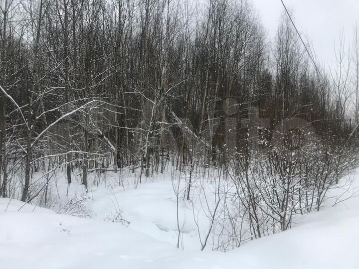 Участок 15 сот. (СНТ, ДНП)