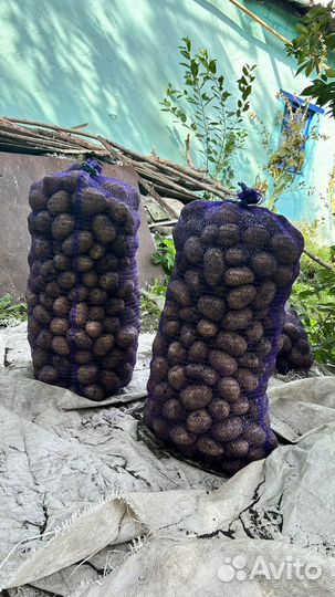 Картофель деревенский