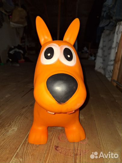 Ослик прыгун