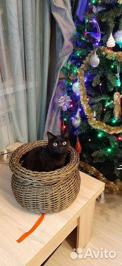 Кашпо из ротанга горшочек