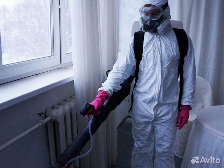 Дезинсекция