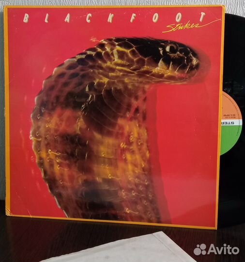 Blackfoot 1979 Strikes