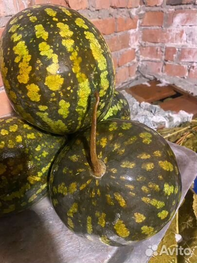 Арбуз бочковой, арбуз солёный, соленья