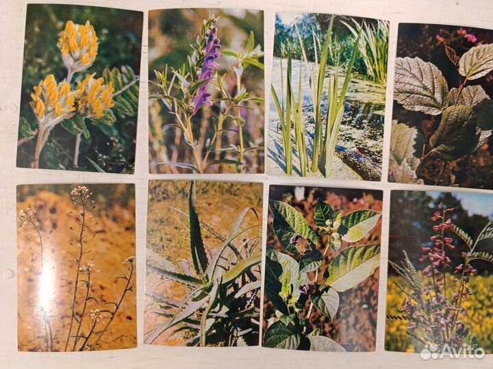 Набор открыток