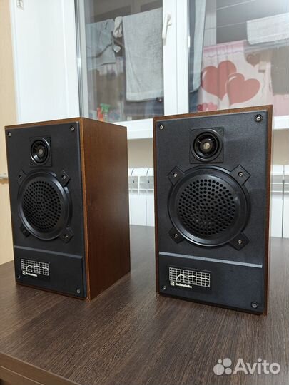 Новые колонки Радиотехника S-30A