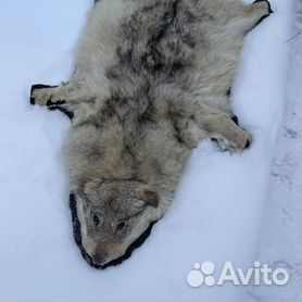 Фото по запросу Игрушка волк