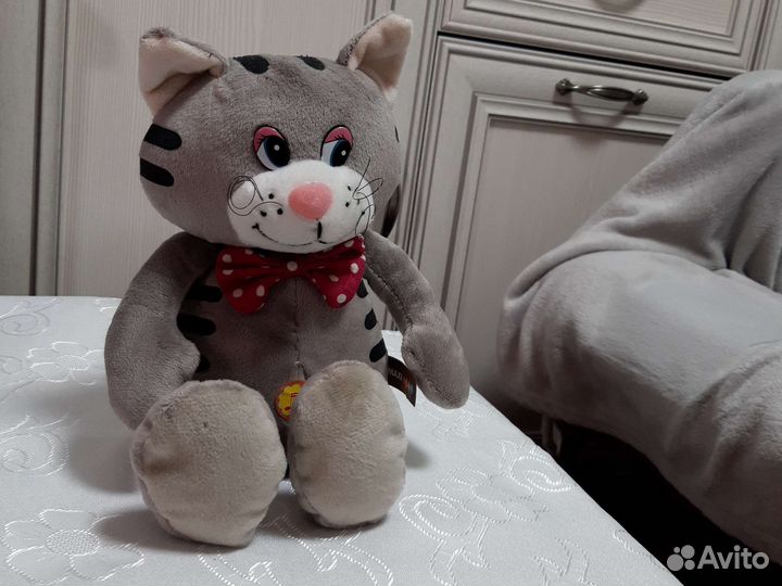 Котик дружелюбный