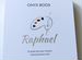 Электронная книга onyx boox Raphael (новая)