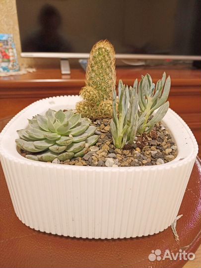 Цветочная композиция