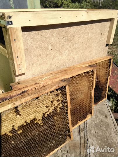 Рамки с вощиной, суш