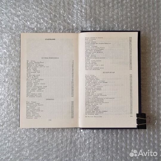 Белый ягуар – вождь араваков. Фидлер Аркадий