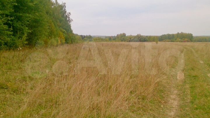 Участок 6 га (СНТ, ДНП)