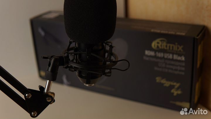 Микрофон Ritmix 169 usb