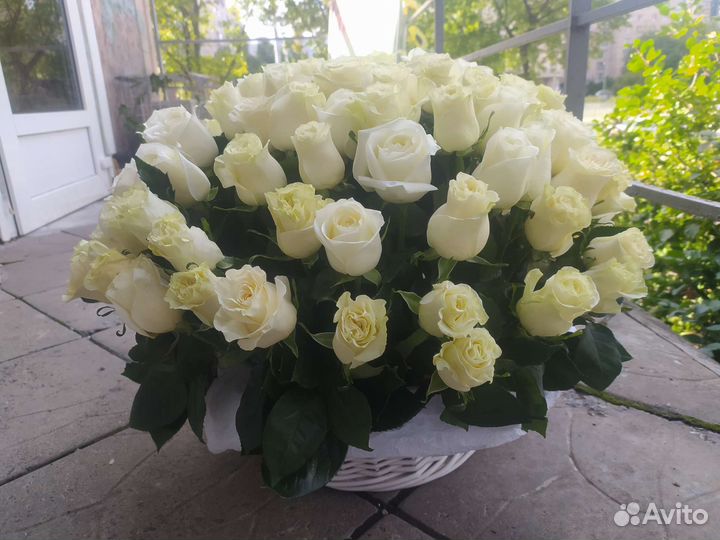 Корзина белых роз, 101 роза в корзине