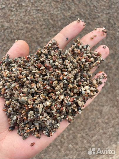 Песок с карьера доставка тараканом в день заказа