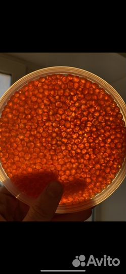 Красная икра горбуши