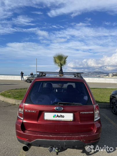 Subaru Forester 2.5 AT, 2008, 252 500 км
