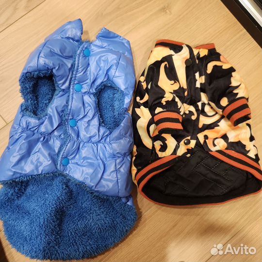 Одежда для маленьких собак