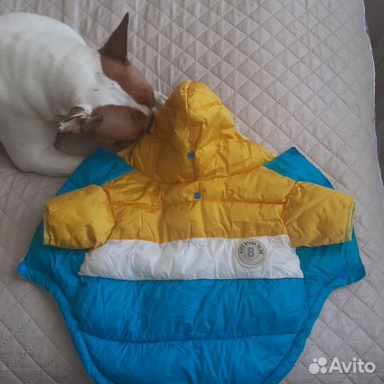 Зимняя куртка для собаки