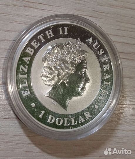 Австралийская коала 2012 г