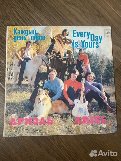 Виниловые пластинки