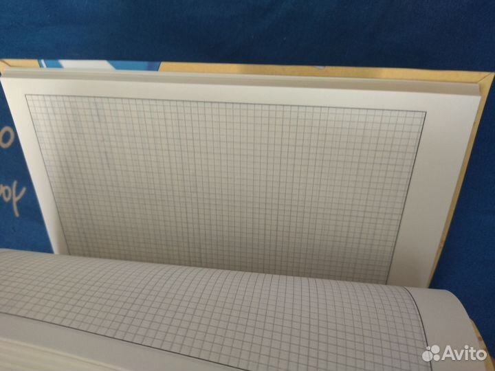 Ежедневник недатированный Рина Зенюк