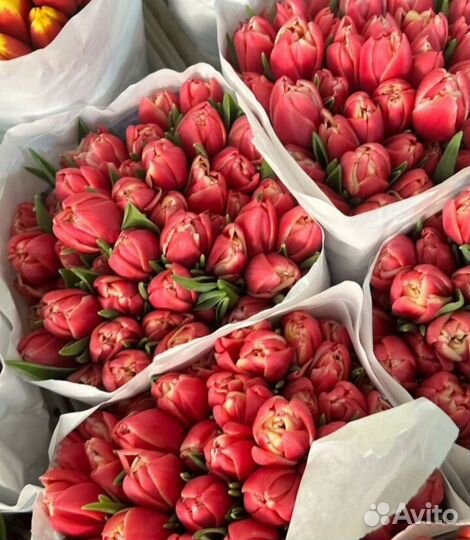 Цветы на 8 марта