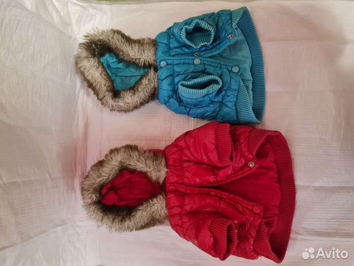 Одежда для маленьких собак