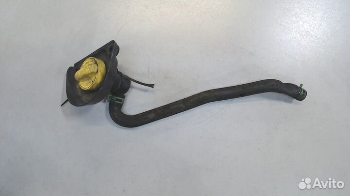 Маслозаливная горловина Renault Master 2010, 2011