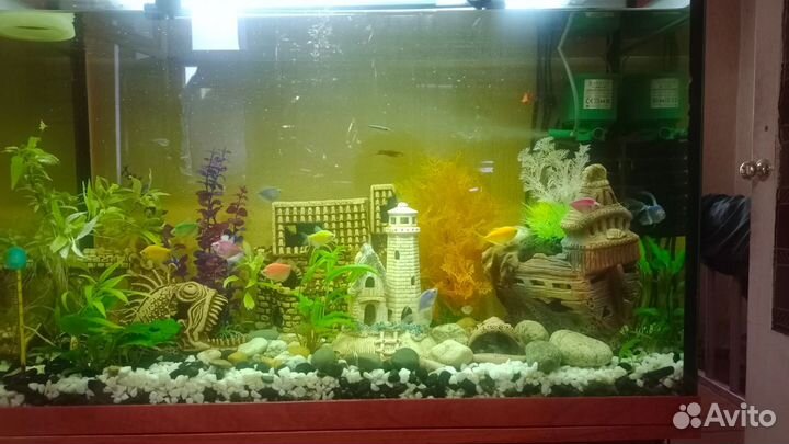 Аквариум с тумбой 150л