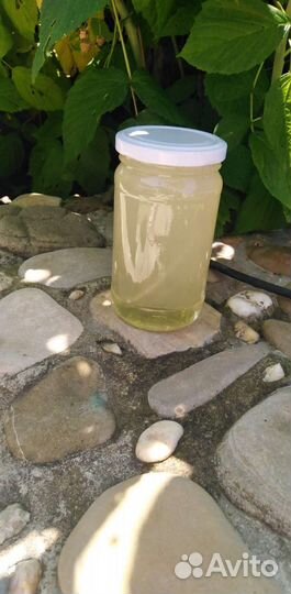 Мед белой акации