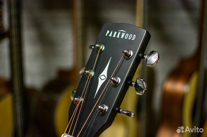 Электроакустика Parkwood (Комплект)