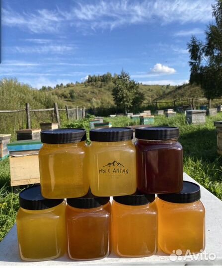 Алтайский мед с семейной пасеки