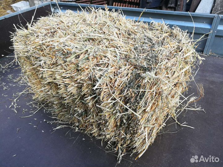 Солома овсяная