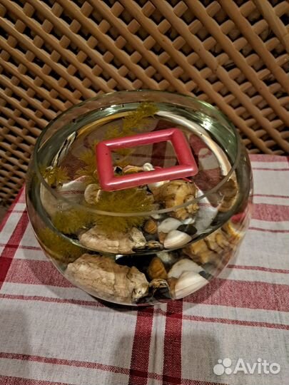 Маленький аквариум 3 литра