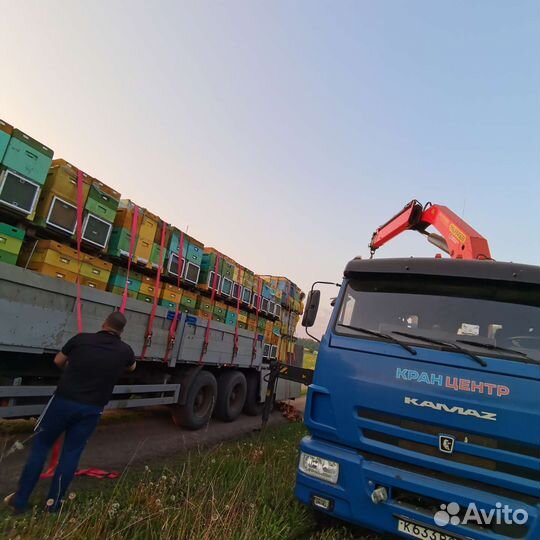 Услуги манипулятора