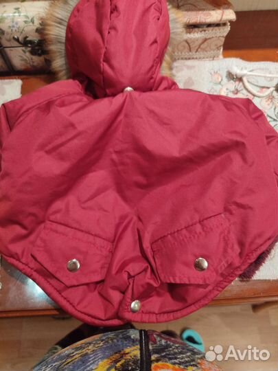 Куртка и дождевик для маленькой собачки