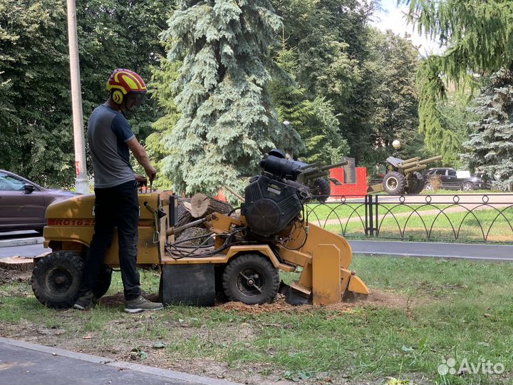 Спилить, удалить деревья, расчистка участка