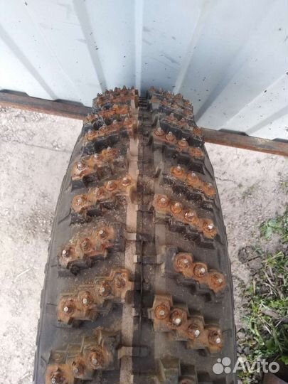Lappi Winter 10/65 R16