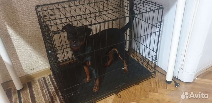 Клетка вольер для собак