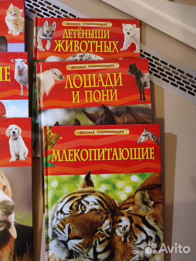 Энциклопедия для детей