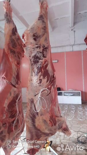 Услуга Забоя Скота