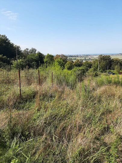 Участок 6 сот. (ИЖС)