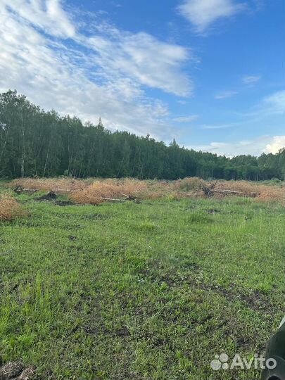 Дрова бесплатно