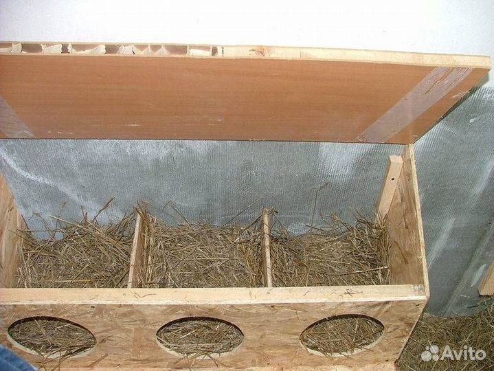 Поилки, кормушки и гнёзда для кур