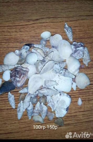 Ракушки и камешкиЧерноморские