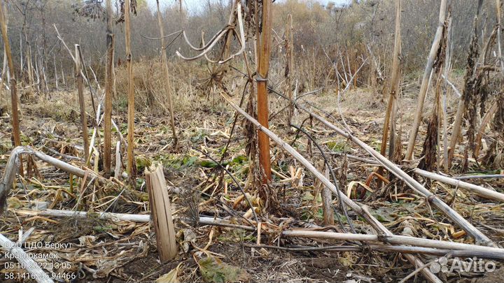 Холодный туман