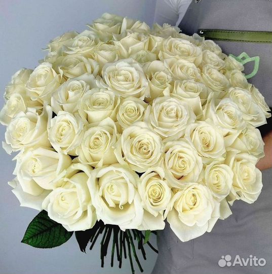 51 Роза, Букеты Цветы Розы 25 101 501 1001